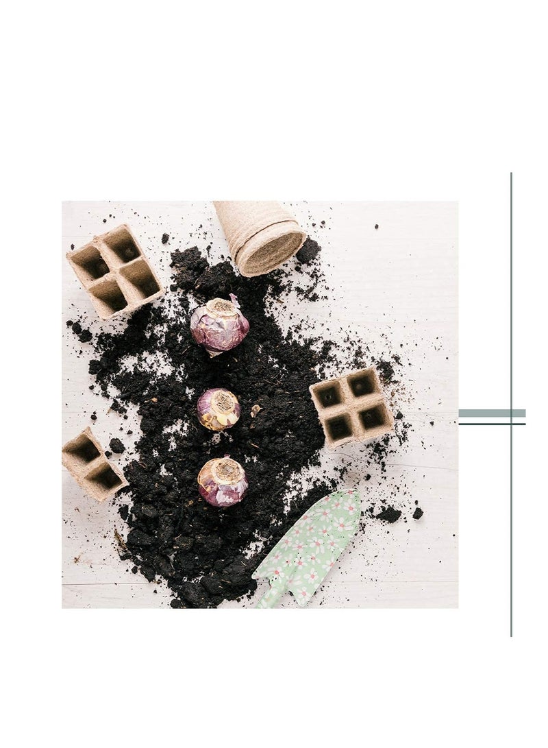 أواني الخث لبدء الزراعة، 10 قطع (120 خلية) صواني الشتلات للحديقة - 100% صديقة للبيئة وقابلة للتحلل مع ملصقات نباتات بلاستيكية إضافية - Image 3